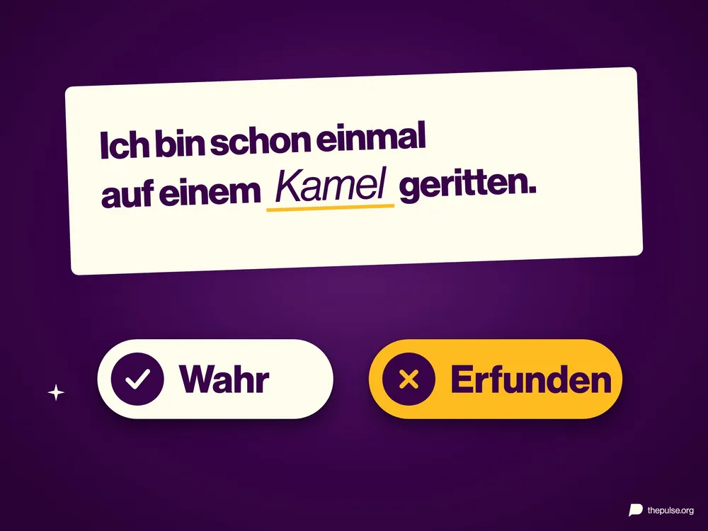 Karte mit dem Satz »Ich bin schon einmal auf einem Kamel geritten«, das Wort »Kamel« eingesetzt, darunter die Knöpfe »Wahr« und »Erfunden«