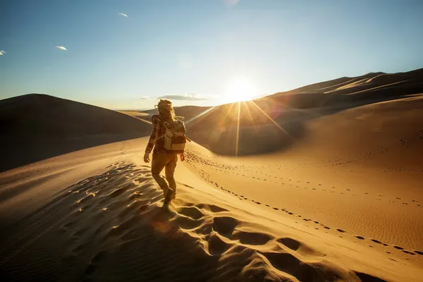 Un viajero camina por el desierto