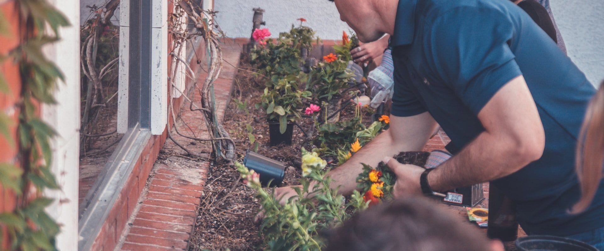 Un homme qui plante des fleurs dans une jardinière