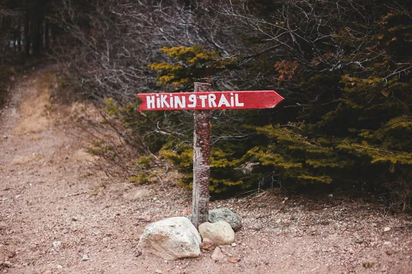Un indicator roșu de lemn cu inscripția „Hiking Trail”, la marginea unei poteci de pădure